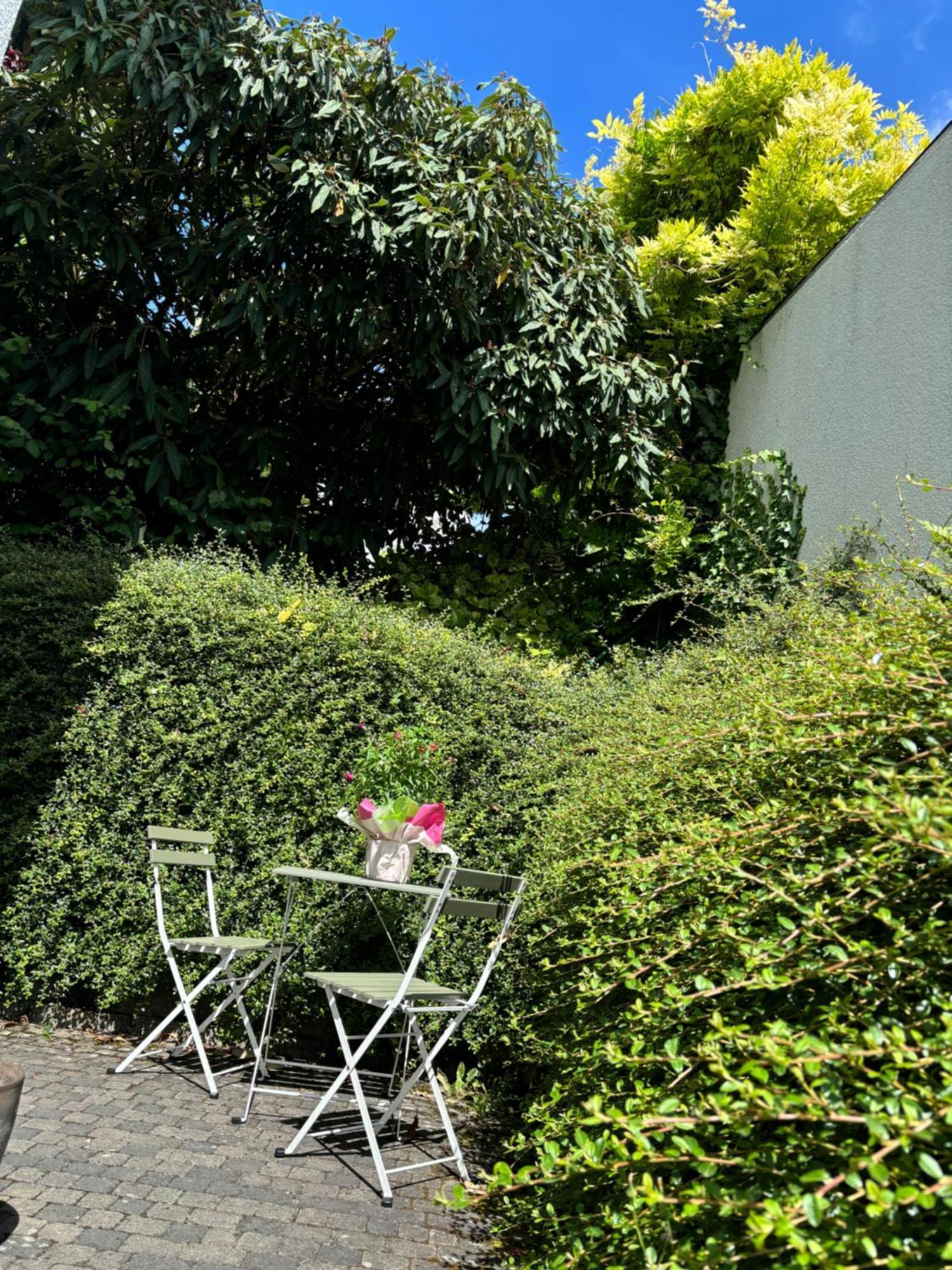 Fewo Susanna - Maisonette Im Gruenen Mit Kueche - Terrasse - Waschmaschine Apartment Wiesbaden Exterior photo